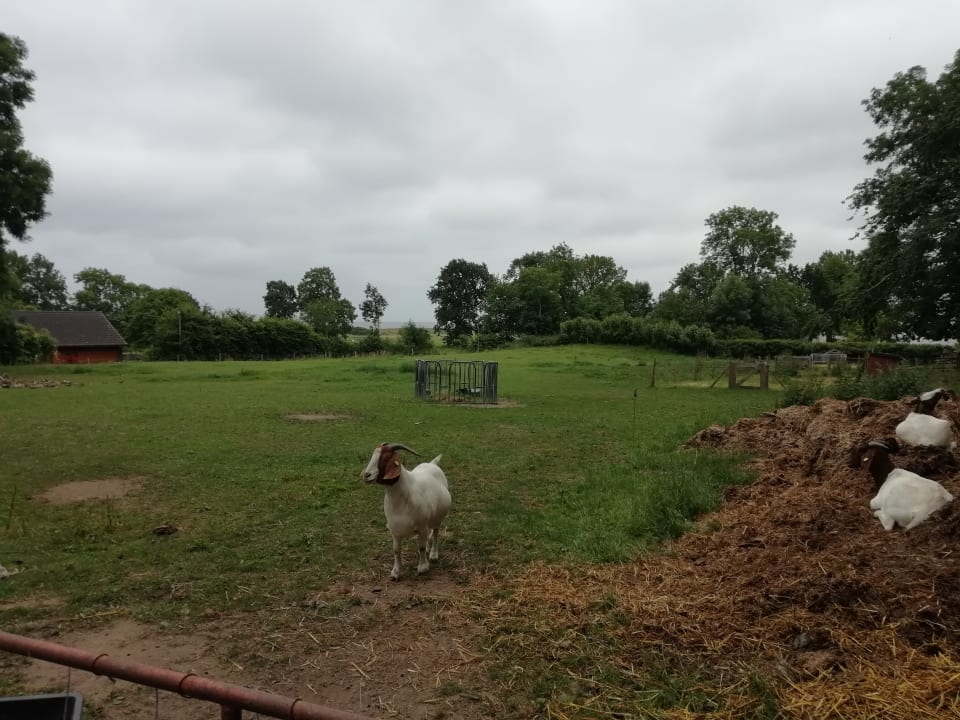 Gartenanlage Landhaus Ostseeblick