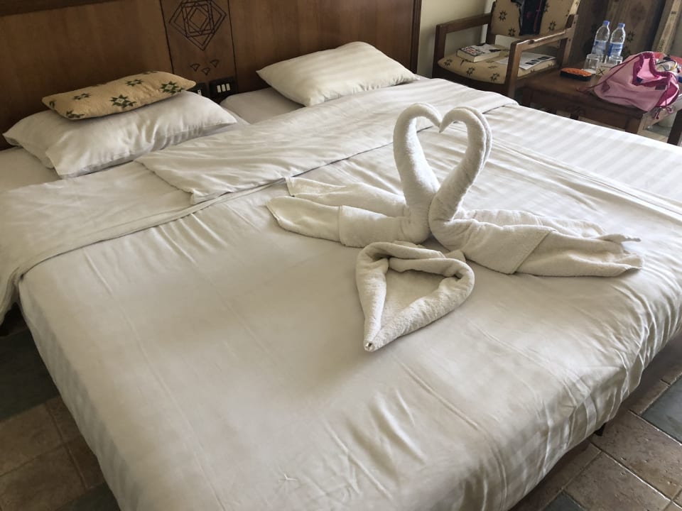 Zimmer Three Corners Equinox Beach Resort