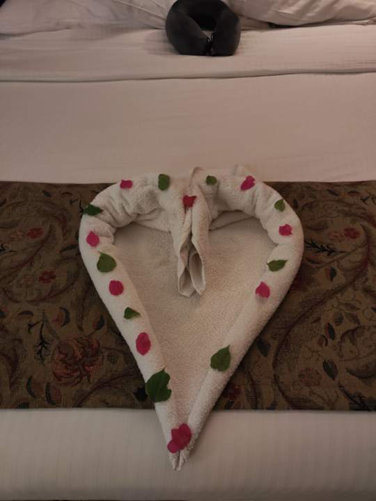 Zimmer Jasmine Palace Resort & Spa