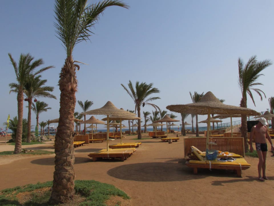 Liegen am Strand und an der Lagune Desert Rose