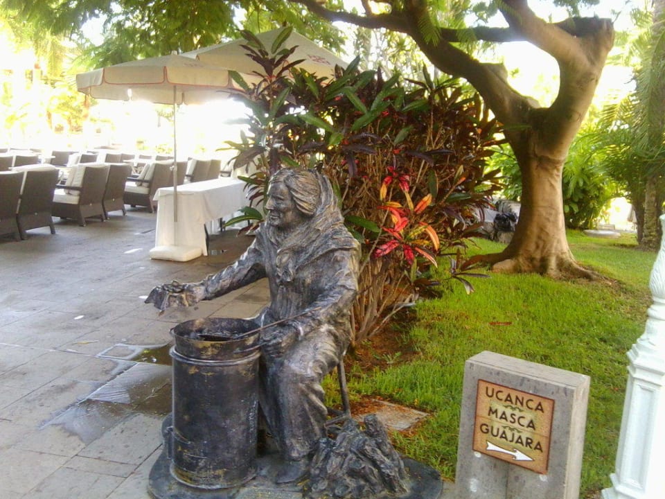 Gartenanlage  Adrián Hoteles Jardines de Nivaria