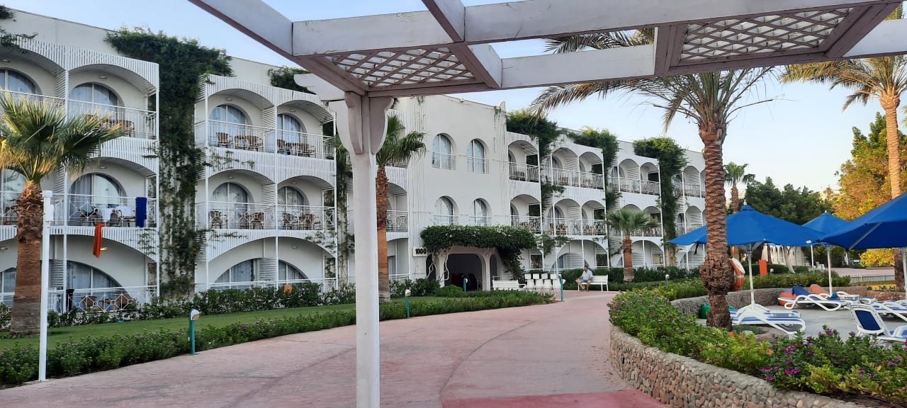 Außenansicht Desert Rose