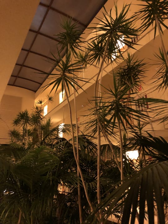 Sonstiges Zafiro Mallorca