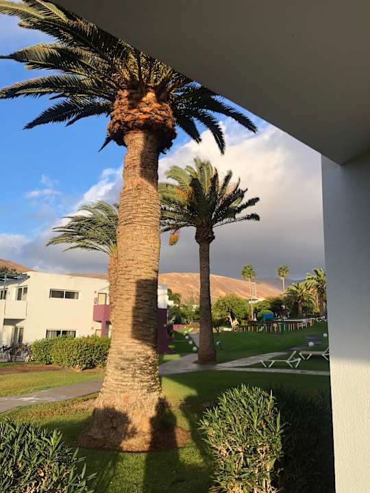 Außenansicht allsun App.-Hotel Esquinzo Beach