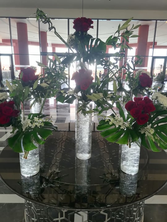 Lobby Pickalbatros Laguna Vista Hotel