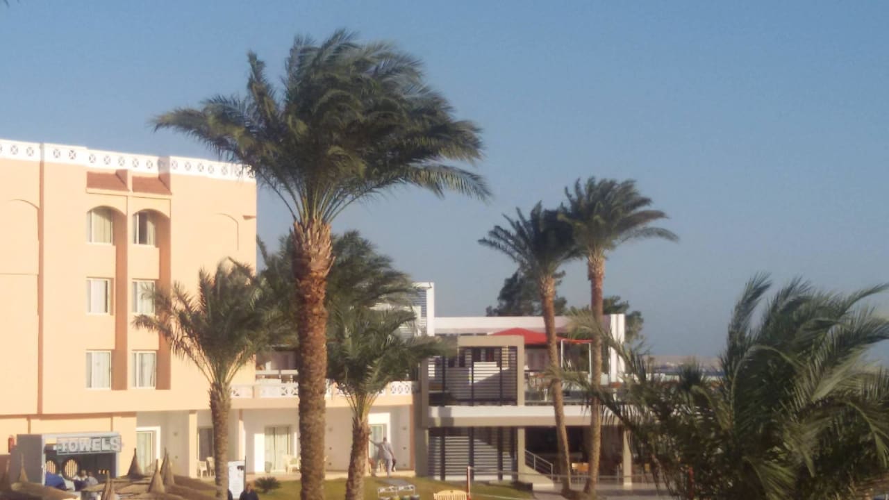 Die Strandbar Beach Albatros Resort