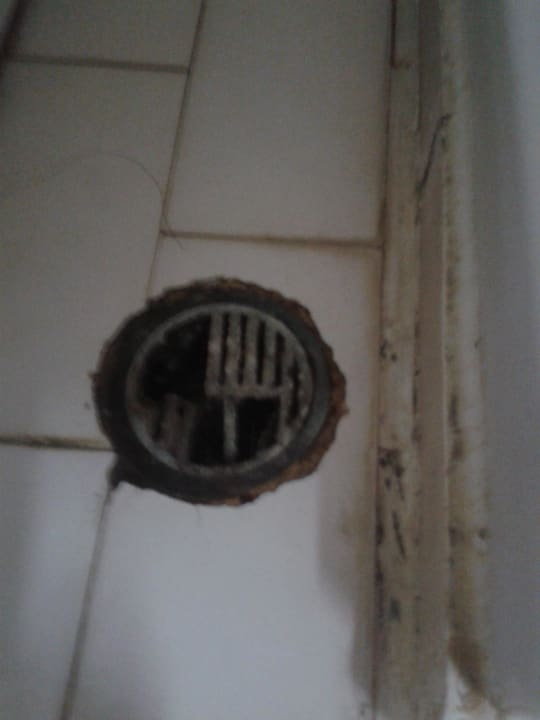 Grille d'évacuation de l'eau Diogenis Blue Palace