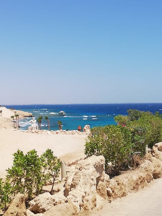 Ausblick Pickalbatros Citadel Resort