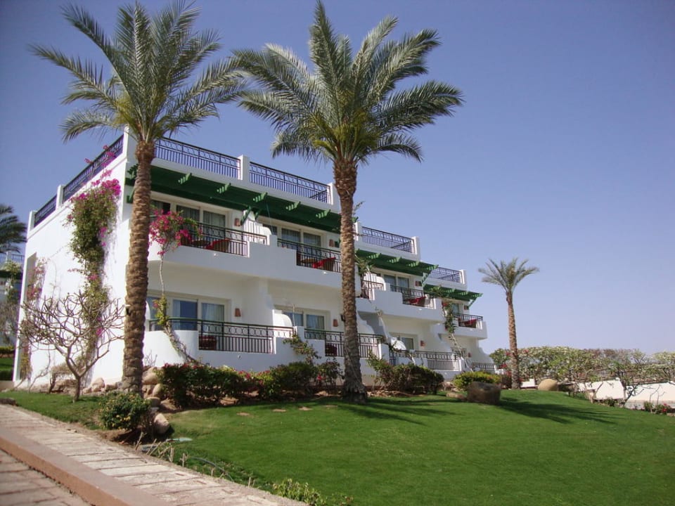 Пальмы Safir Sharm Waterfalls Resort