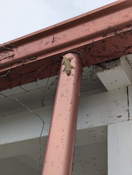 Zimmer Aldiana Club Rocca Nettuno Calabria