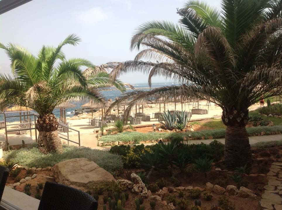 Ausblick Universal Hotel Cabo Blanco - Adults Only