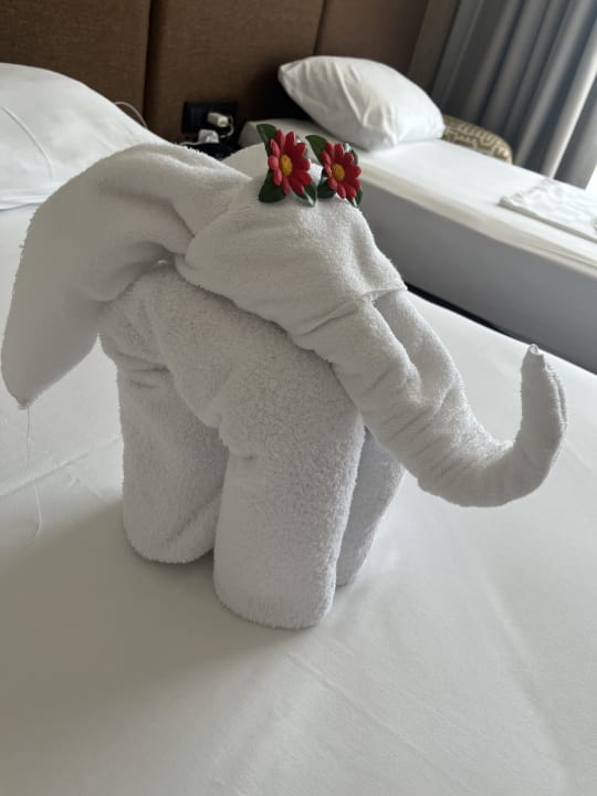 Zimmer VOX MARIS RESORT