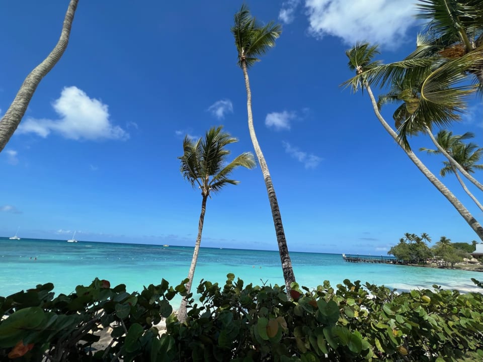 Strand Secrets La Romana Resort & Spa - Adult Only