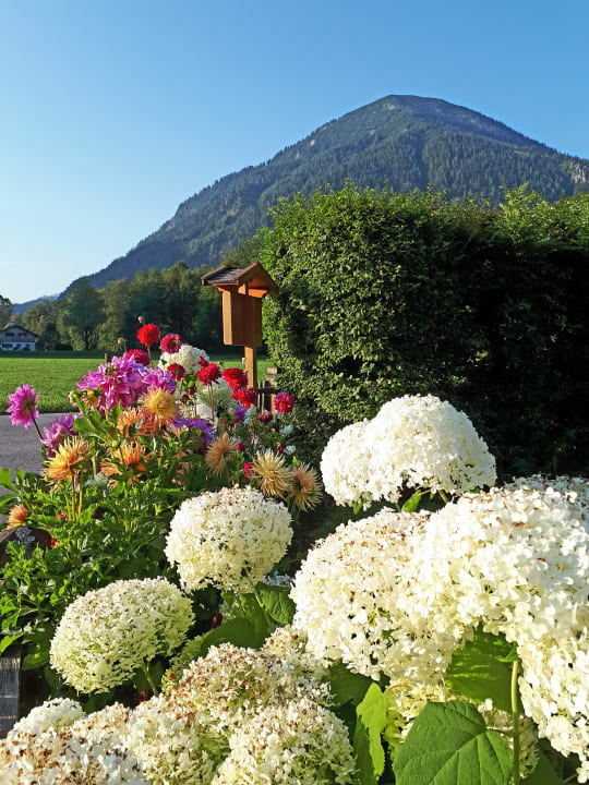 Gartenanlage Gästehaus Gutfelder Hof