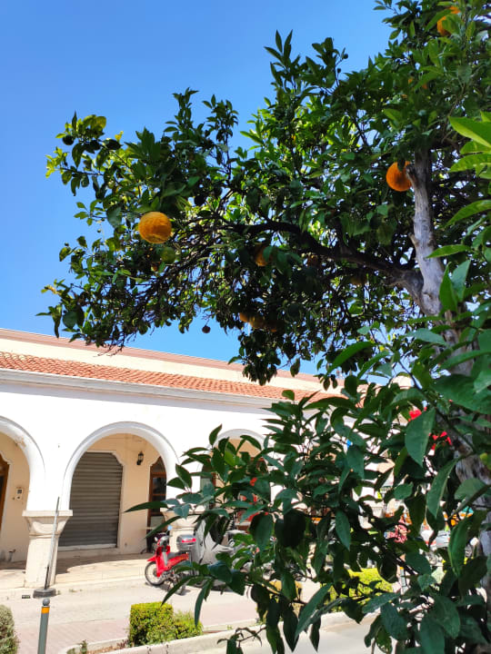 Sonstiges Hotel Esperia