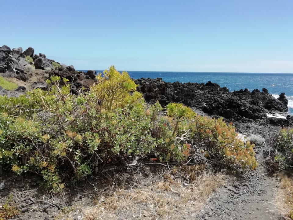 Strand Apartamentos La Caleta