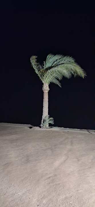 Sonstiges Continental Hotel Hurghada