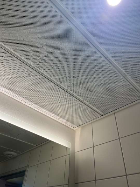 Zimmer NH Köln Altstadt