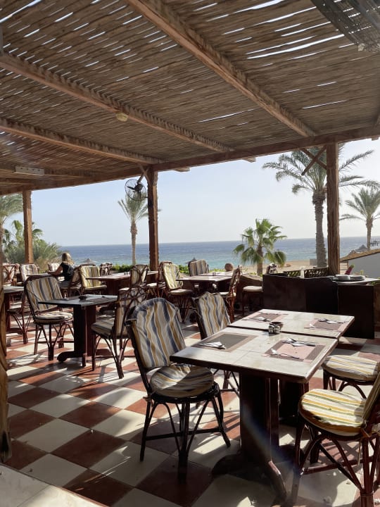 Gastro Wadi Lahmy Azur Resort