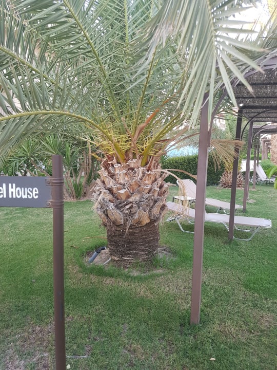 Außenansicht JAZ Aquamarine Resort