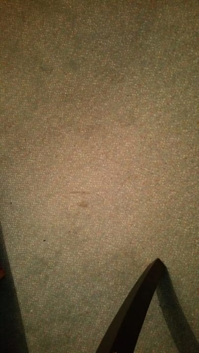 Der besagte abgenutzte und ser verbrauchte Teppich in Komfor Landhotel Kallbach