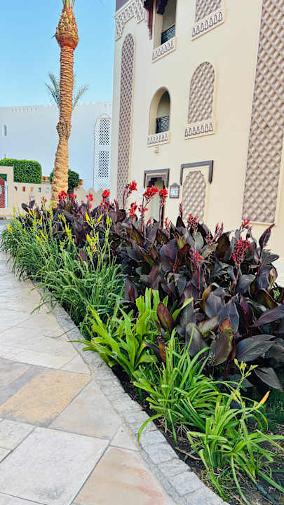 Außenansicht Sentido Mamlouk Palace Resort