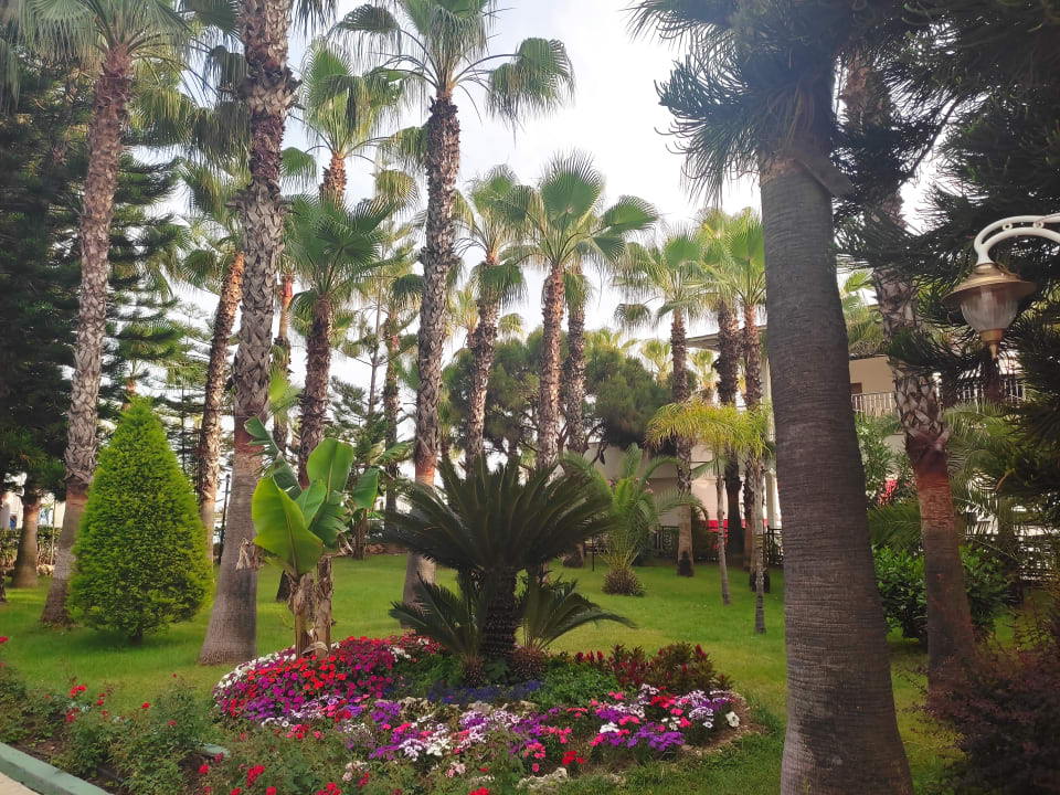 Außenansicht Hotel Botanik Platinum