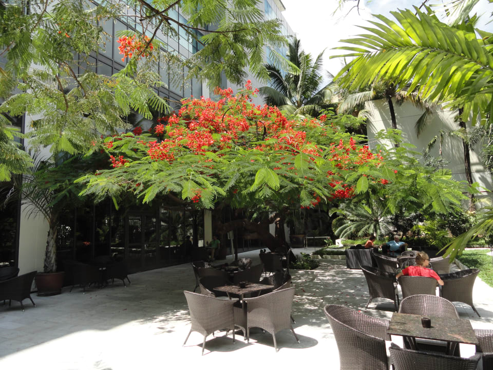 Lobby Hyatt Regency Dar es Salaam The Kilimanjaro