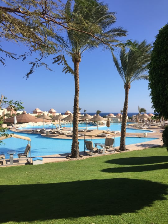 Pool Serenity Alpha Beach