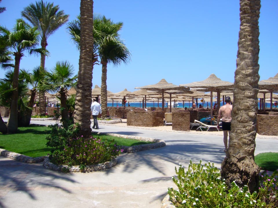Sonstiges Jaz Makadi Oasis Resort