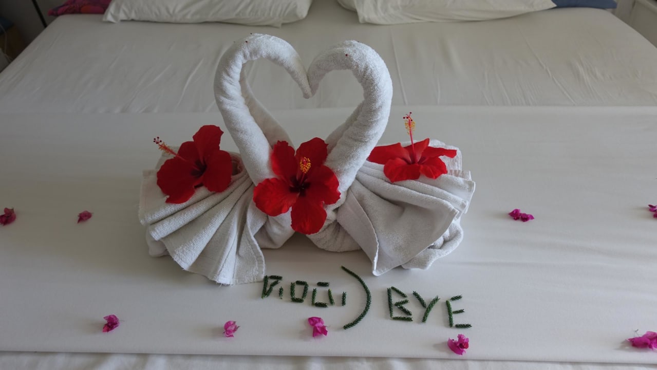 Zimmer Tropical Attitude - Adults only