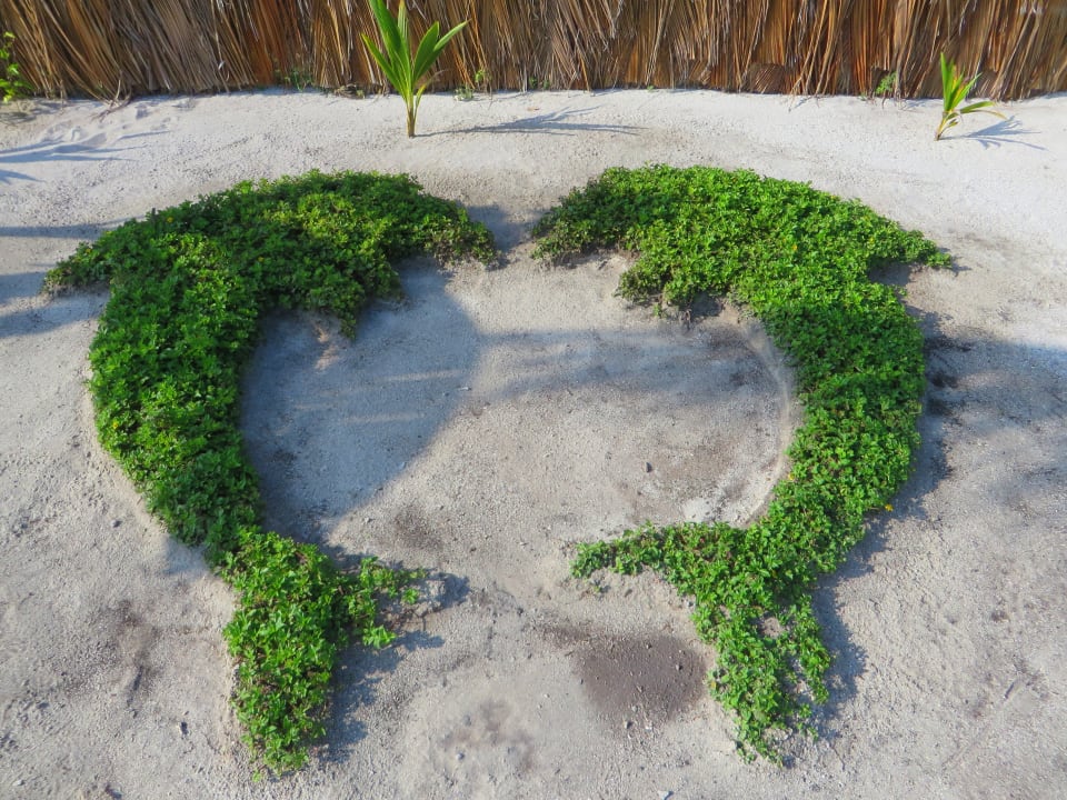 Gartenanlage Kudafushi Resort & Spa