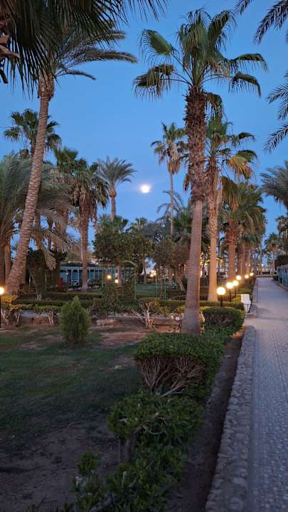 Gartenanlage Giftun Azur Resort