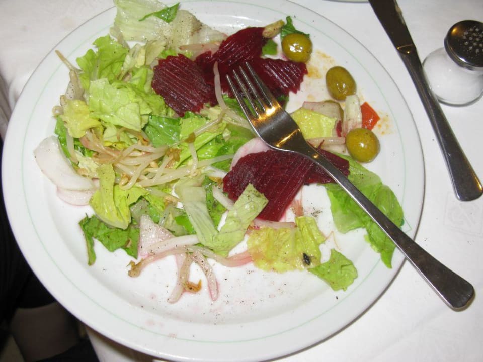 Toter Fliege in meinem Teller Protur Palmeras Playa Aparthotel