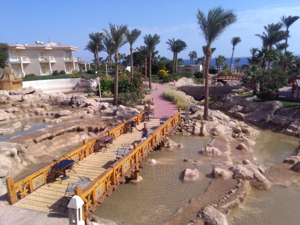 Ausblick Parrotel Beach Resort