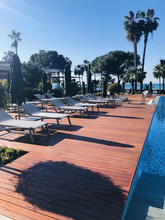 Pool Acanthus Cennet Barut Collection