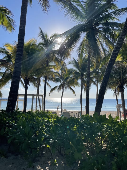 Ausblick Catalonia Royal Tulum Beach & Spa Resort - Adults only