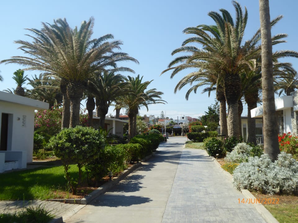 Gartenanlage Civitel Creta Beach