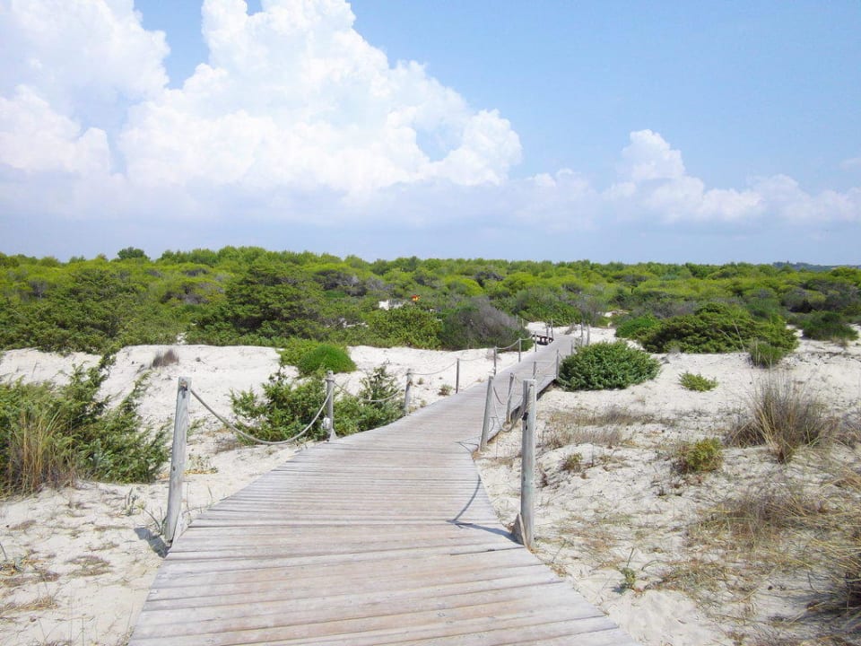 Dünen Spazierweg zum Strand Vivosa Apulia Resort