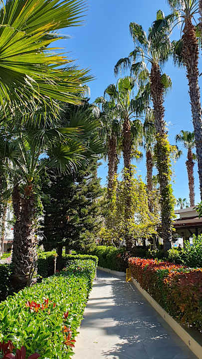 Gartenanlage Hane Family Resort