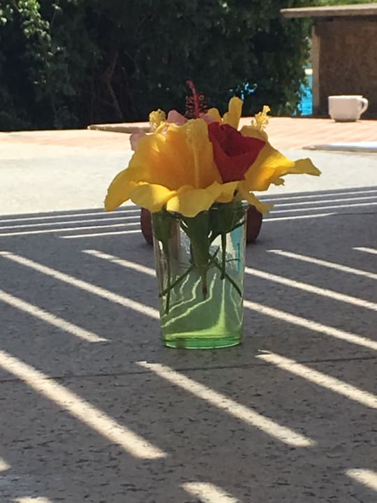 Pool Stella Beach Resort & Spa Makadi Bay