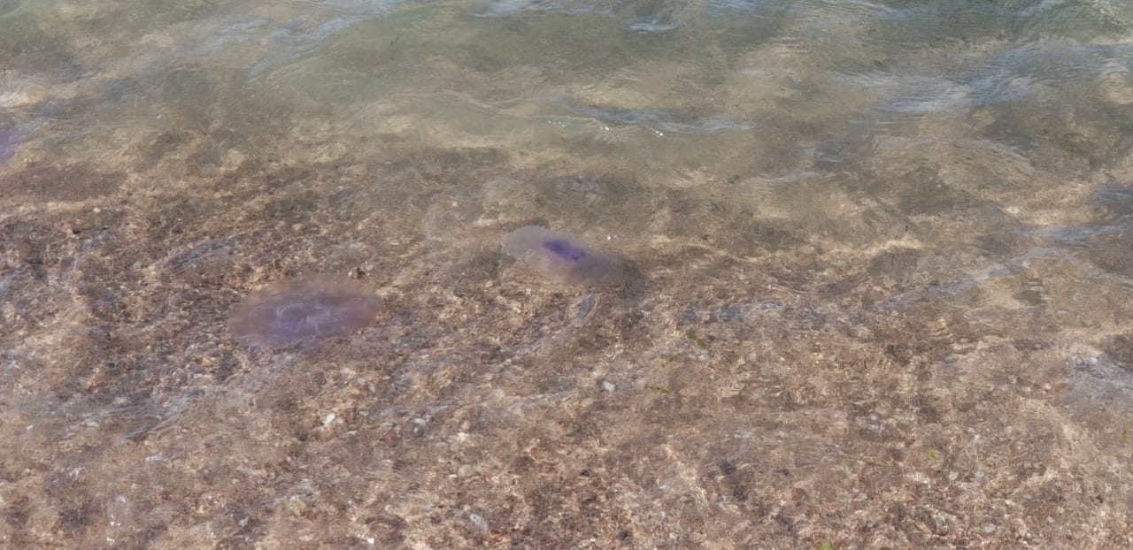 Strand LABRANDA Club Makadi
