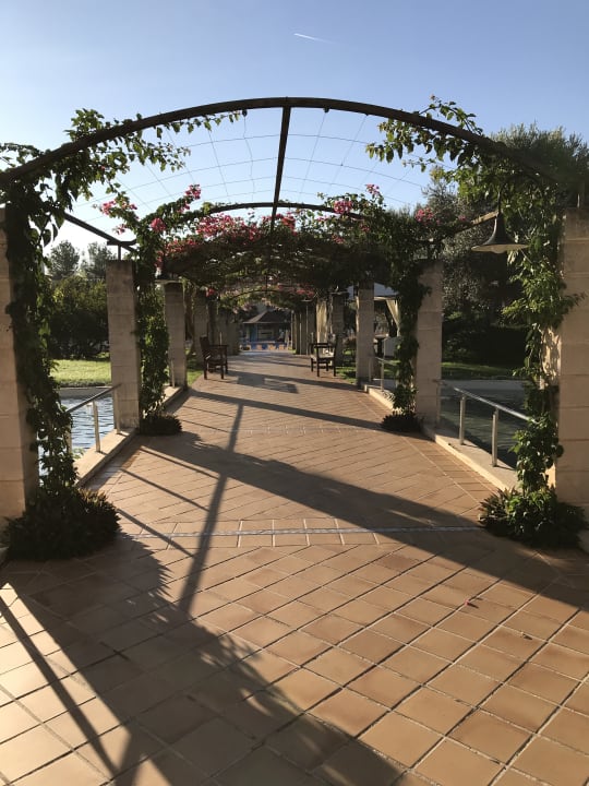 Gartenanlage Zafiro Can Picafort