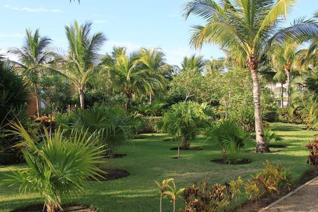 Gartenanlage Dreams Tulum Resort & Spa