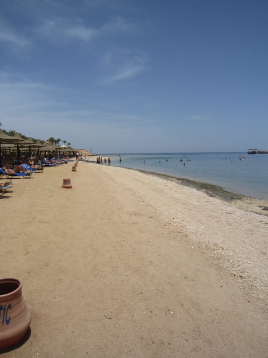 Morgens Steigenberger Coraya Beach - Adults only