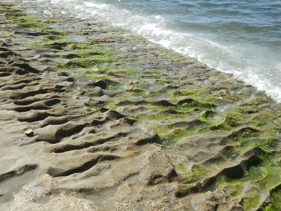 Felsstrand vermooost Dizalya Palm Garden