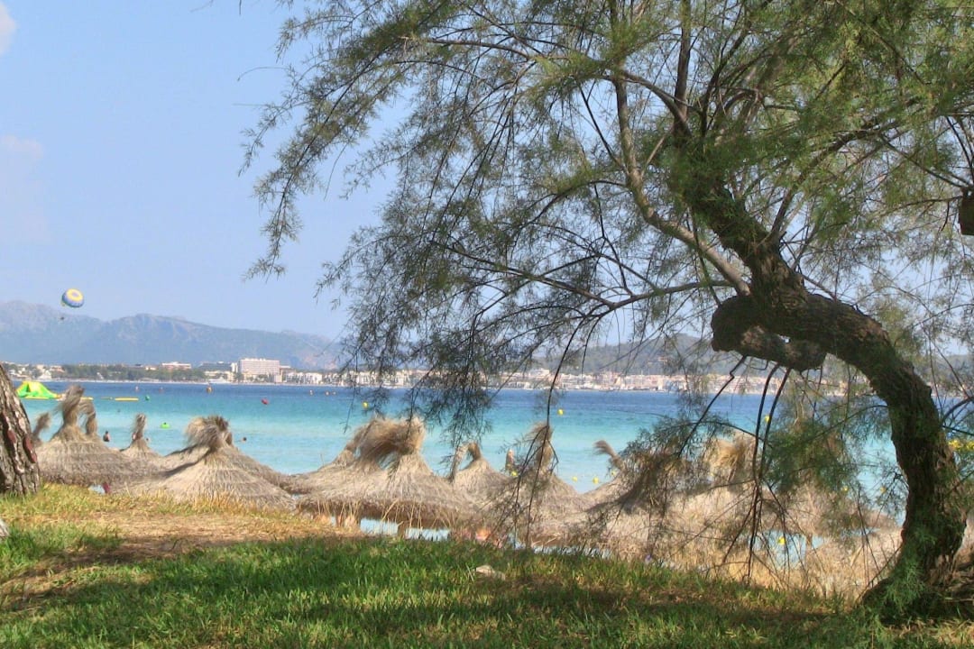 Blick über den Strand  Iberostar Waves Playa de Muro