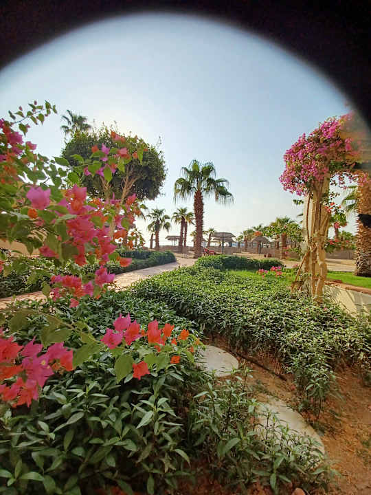 Ausblick Lotus Bay Beach Resort