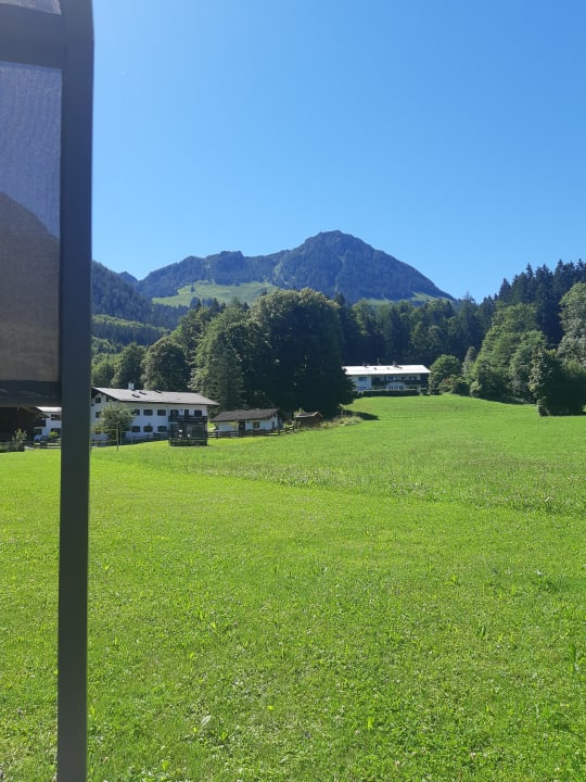 Pool Alm- & Wellnesshotel Alpenhof