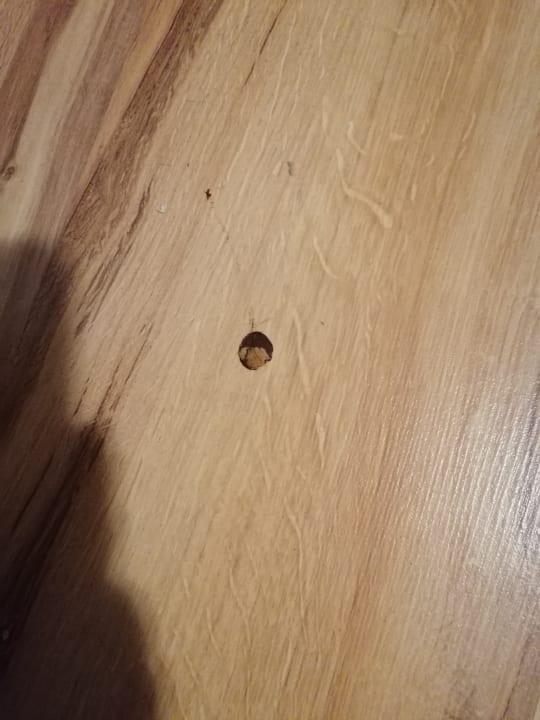 Zimmer DorJan - Domki Letniskowe